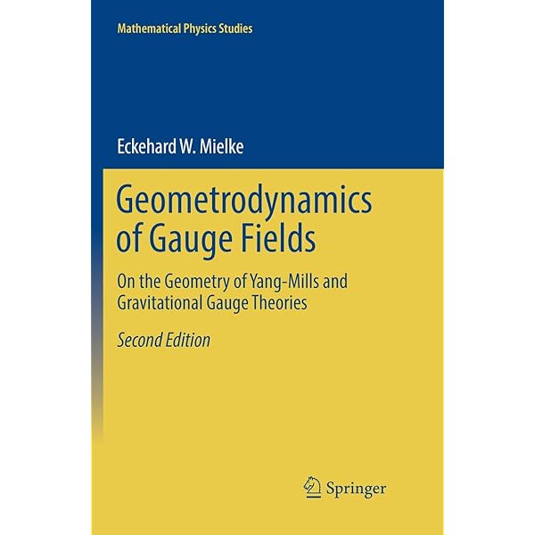 洋書 Gauge Fields and Strings Gauge Fields and Strings (CONTEMPORARY CONCEPTS IN PHYSICS